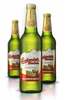 Budweiser BUDVAR Beer Bottle