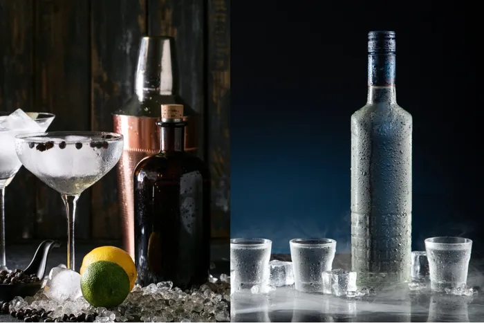 Gin vs. Vodka: Which Spirit is Right for You?