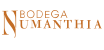 Bodega Numanthia