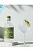 four-pillars-olive-leaf-gin-tonic