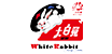 White Rabbit