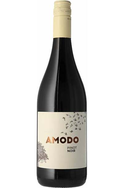 Amodo Pinot Noir Provincia di Pavia IGT 750ml